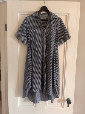 Everlane Navy and White Striped High-Low Shirt Dress